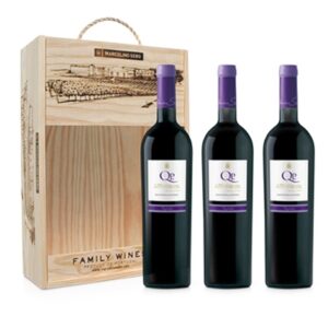 QP Syrah 3 stuks verpakt in kist-0